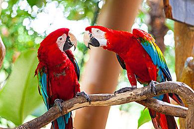 《哈利波特：魁地奇世界杯》新实机 发售日待定